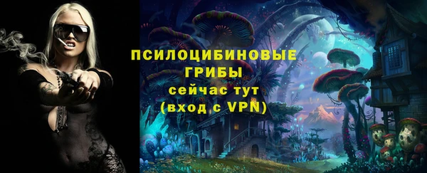 PSILOCYBIN Семикаракорск