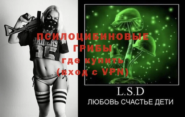PSILOCYBIN Семикаракорск