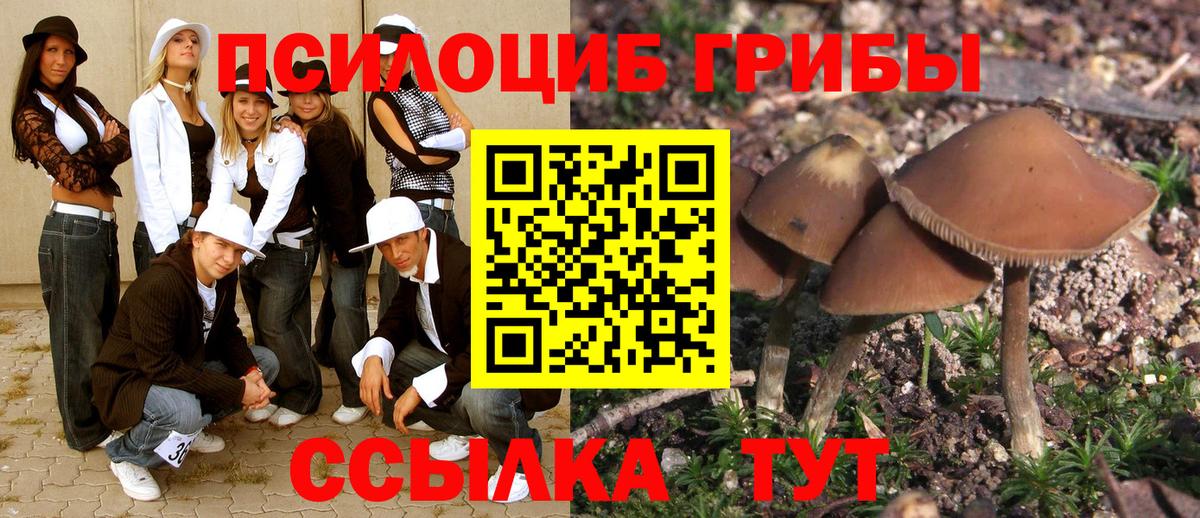 Кинешма  Псилоцибиновые грибы GOLDEN TEACHER  Галлюциногенные грибы прущие грибы  Вход с VPN 